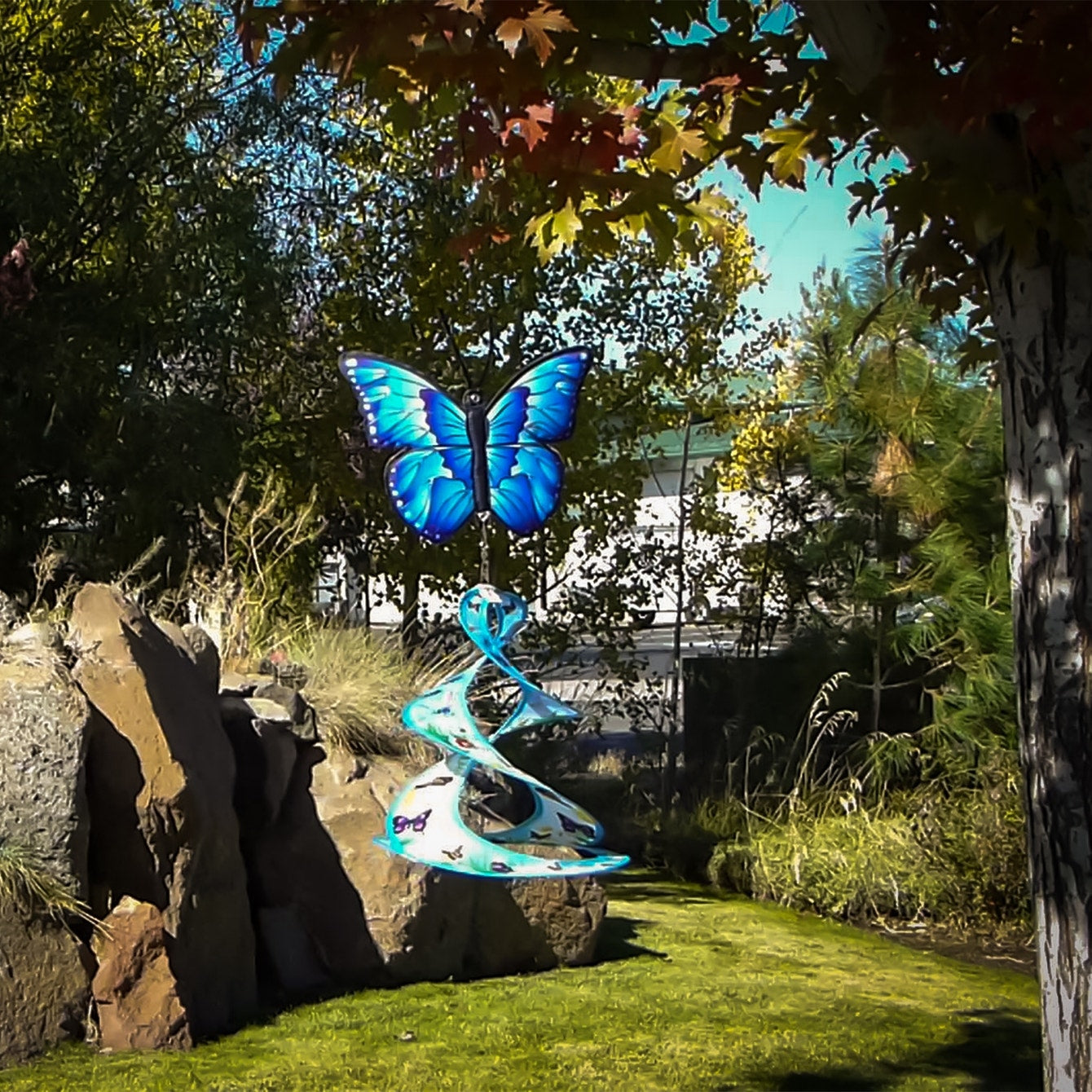 Butterfly theme Duet