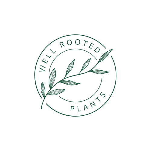 Well Rooted Plants