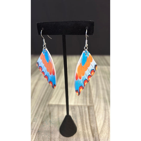 Colorful butterfly wings