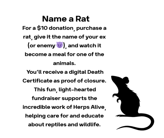 Rat Donation