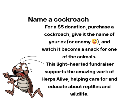 Cockroach Donation